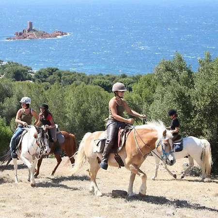 Apartment 3 Pieces, 6 Couchages, Parking, Proche Et Commerces, - Fr-1-226a-152 Fréjus